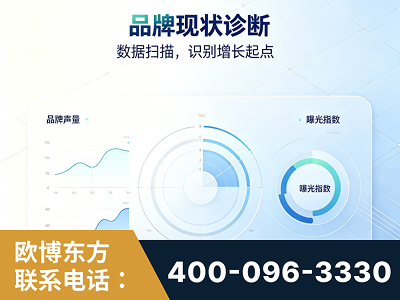 澄江-品牌现状诊断