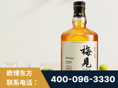 澄江-梅见青梅酒